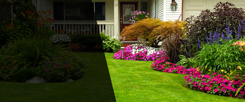 Shelley Landscapers