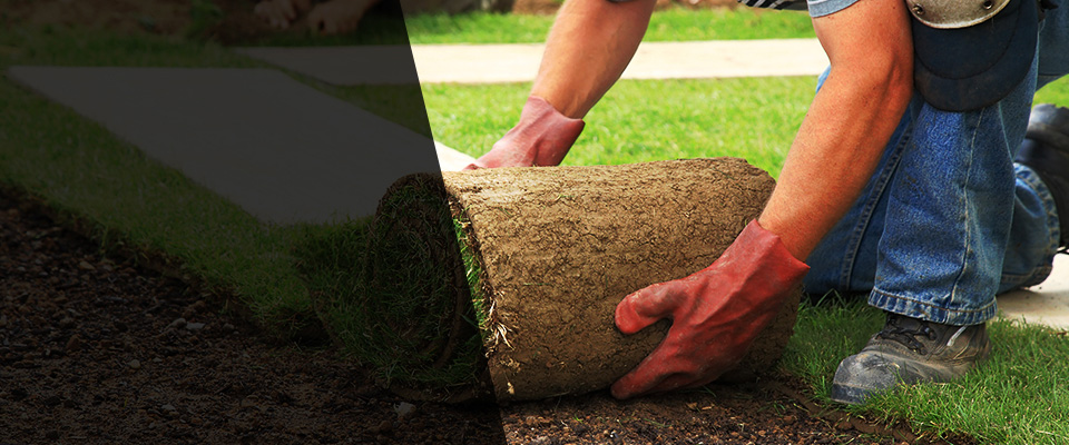 Shelley Landscapers